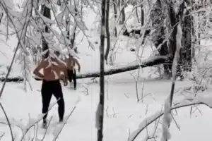 Bursa’da kar yağışı etkili oldu. Uludağ’ın eteklerinin kar tutması sebebiyle