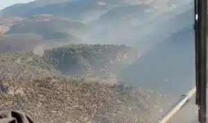 Balıkesir’in Dursunbey ilçesinin ardından Bursa’nın Büyükorhan ilçesinde de alevler 20
