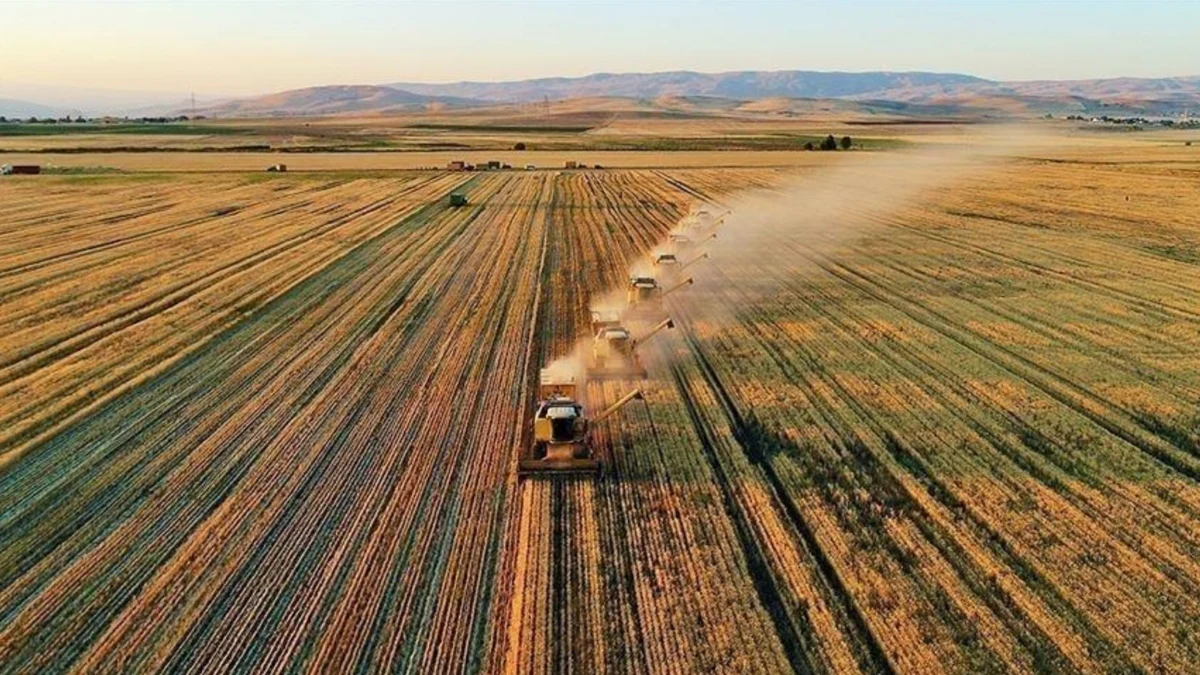 Tarım ve Orman Bakanlığı, sosyal medya hesabı üzerinden son yaptığı