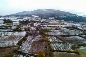 Bursam Medya -