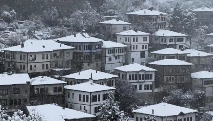 Bursam Medya -