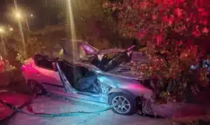 Olay, dün gece 03.00 sıralarında Mudanya ilçesi Aydınpınar mevkiinde meydana