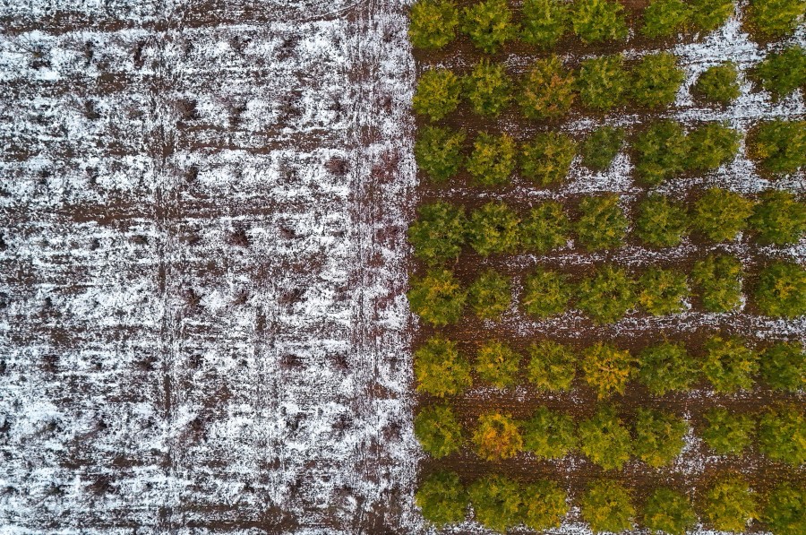 Uludağ eteklerindeki meyve ağaçları sonbaharın gelmesiyle renk cümbüşüne dönüştü. Önceki