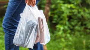 Plastik kaynaklı atık kirliliğinin önüne geçilmesi amacıyla plastik poşetler, 1