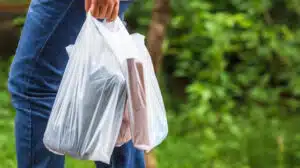 Plastik kaynaklı atık kirliliğinin önüne geçilmesi amacıyla plastik poşetler, 1