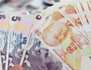 Yeni 5 ve 50 TL’lik banknotlar tedavüle çıkıyor