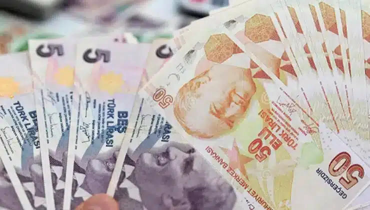 Yeni 5 ve 50 TL’lik banknotlar tedavüle çıkıyor