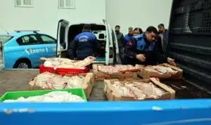 Akdeniz Belediyesi‘nden yapılan açıklamaya göre, Mersin-Tarsus Otoyolu üzeri Deliçay Köprüsü