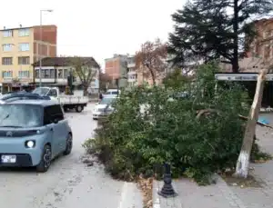 Bursa’da şiddetli lodosa dayanamadı!