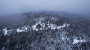 Bursam Medya -