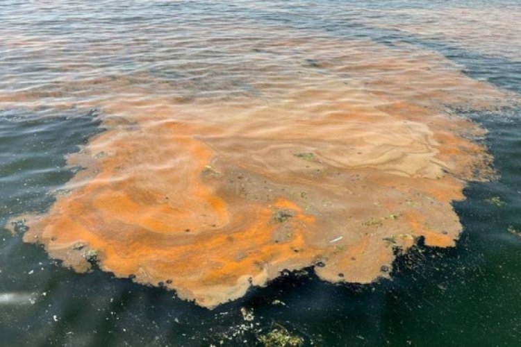 Bakanlıktan yapılan açıklamaya göre, Marmara Denizi’nde 2021’de ortaya çıkan müsilaj