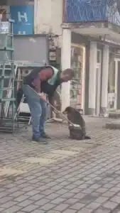 Olay, Bursa‘nın Yenişehir ilçesinde meydana geldi. Edinilen bilgiye göre, Hüseyin