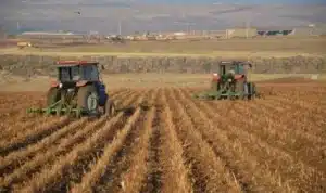 Buna göre tarım ürünleri üretici fiyatları bir önceki aya göre