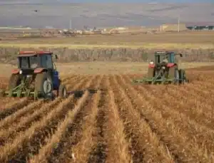 Tarım ürünleri üretici fiyat endeksi açıklandı