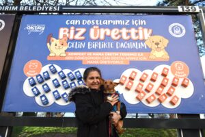 Yıldırım Belediyesi'nden hayvan dostu çalışma! 9 Bursam Medya -