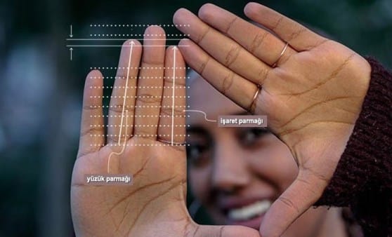 PARMAK ORANI NASIL BELİRLENİR? Parmak uzunlukları arasındaki oran (2D:4D oranı)