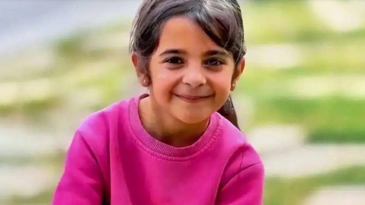 Dava sürecini NTV yayınına katılan Hukukçu Rezan Epözdemir değerlendirdi. Epözdemir;