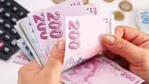 2025 yılına yaklaştığımız bu günlerde, çiftçilere yönelik tarımsal destek ödemeleri