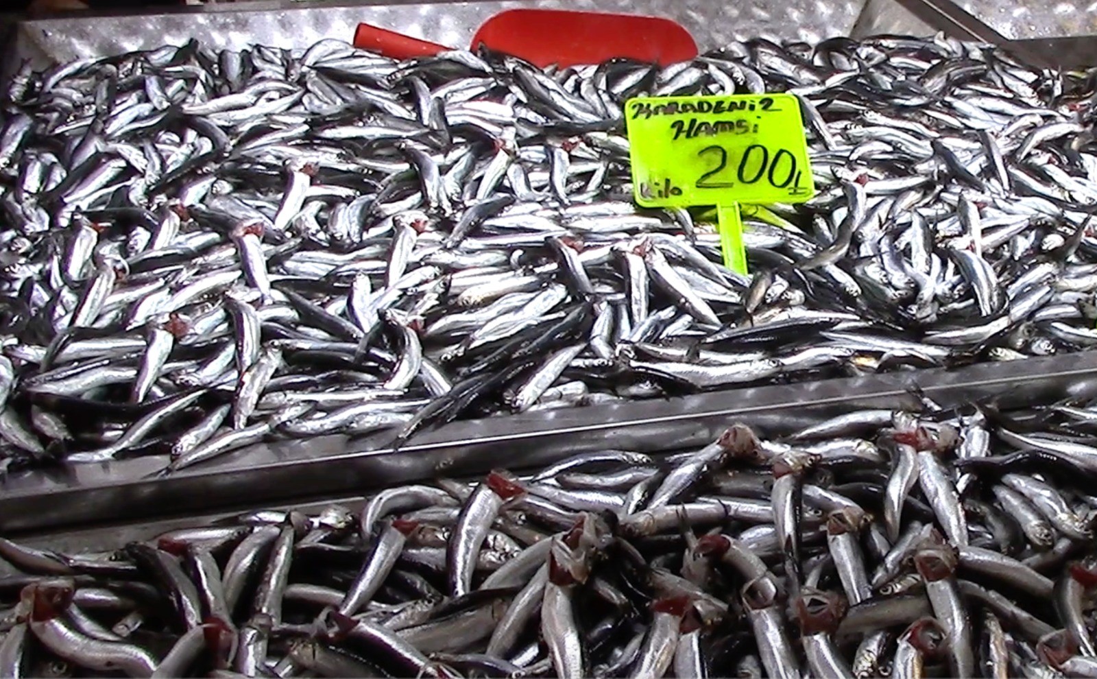 Bursa’nın Altınşehir pazarında yoğun bir gün geçiren balıkçılar, geçtiğimiz yılın