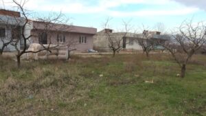 Bursa’da yaşayan Emine Görgen, iddiaya göre, babasından miras kalan 12