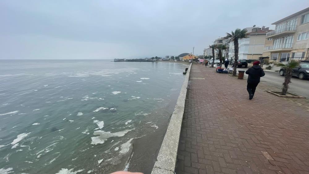 Sarı, ekim ayında yüzeyden 5 metreden başlamak üzere 25 metreye