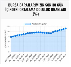 Bursam Medya -