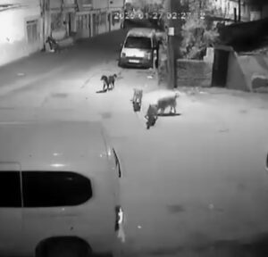 Olay, merkez Osmangazi ilçesi Soğanlı Mahallesinde meydana geldi. Gece saatlerinde