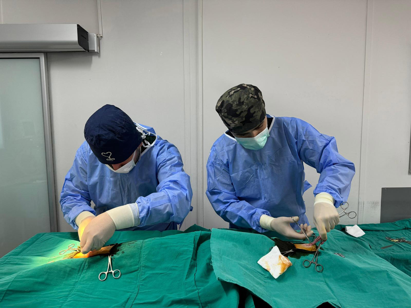 Osmangazi Belediyesi, sahipsiz sokak hayvanlarının kontrolsüz bir şekilde üremesinin önüne