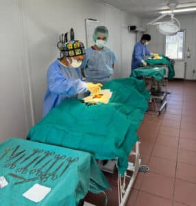 Osmangazi’de ayda ortalama 200 kedi kısırlaştırılıyor 5 Bursam Medya -