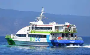 Bursa Deniz Otobüslerinin (BUDO) internet sayfasından iptaller hakkında yapılan duyuru
