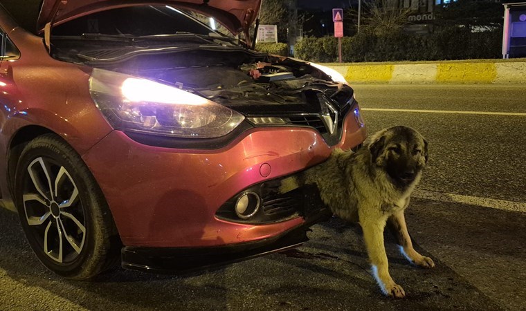 Atatürk Bulvarı’nda, gece saatlerinde H.G. idaresindeki 34 GU 3224 plakalı