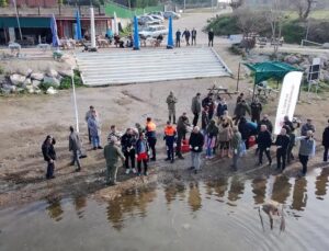 Bursa’da yaban ördekleri suyla buluştu