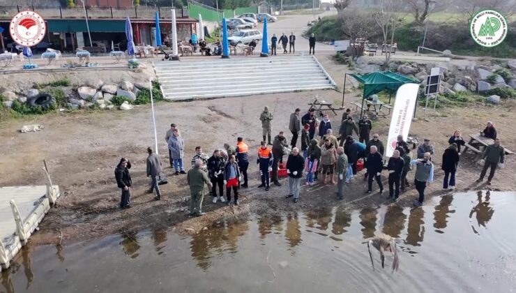 Bursa’da yaban ördekleri suyla buluştu