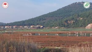 Bursam Medya -
