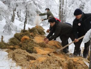 Doğa Koruma ve Milli Parklar Uludağ’daki yaban hayvanlarını unutmadı