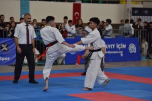 Naim Süleymanoğlu Spor Kompleksi’nde 6 kategoride düzenlenen şampiyonaya 25 şehir,