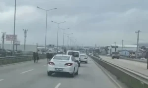 Merkez Yıldırım ilçesi 11 Eylül Bulvarı üzerinde başıboş atlar yola