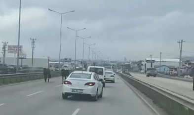 Bursa’da başıboş atlar tehlike saçıyor!