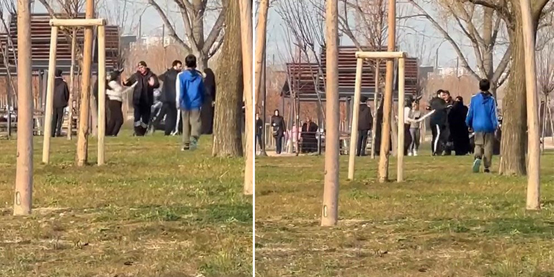 Bursa’da piknik yapan kadınların kavgasını ayırmaya giden güvenlik görevlisi döner