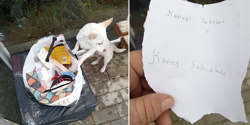 Gemlik ilçesinde sabah saatlerinde durağın yanında yiyecek dolu bir poşet