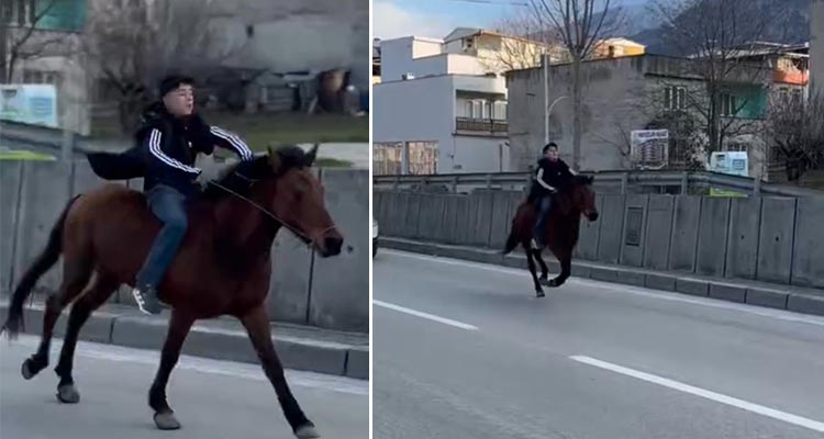 Bursa’nın Yıldırım ilçesinde 15-16 yaşlarındaki bir genç bindiği atıyla trafiğe