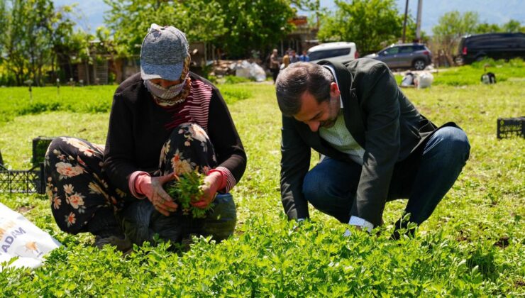 Gürsu’da ilçe tarımını dönüştürecek yeni proje