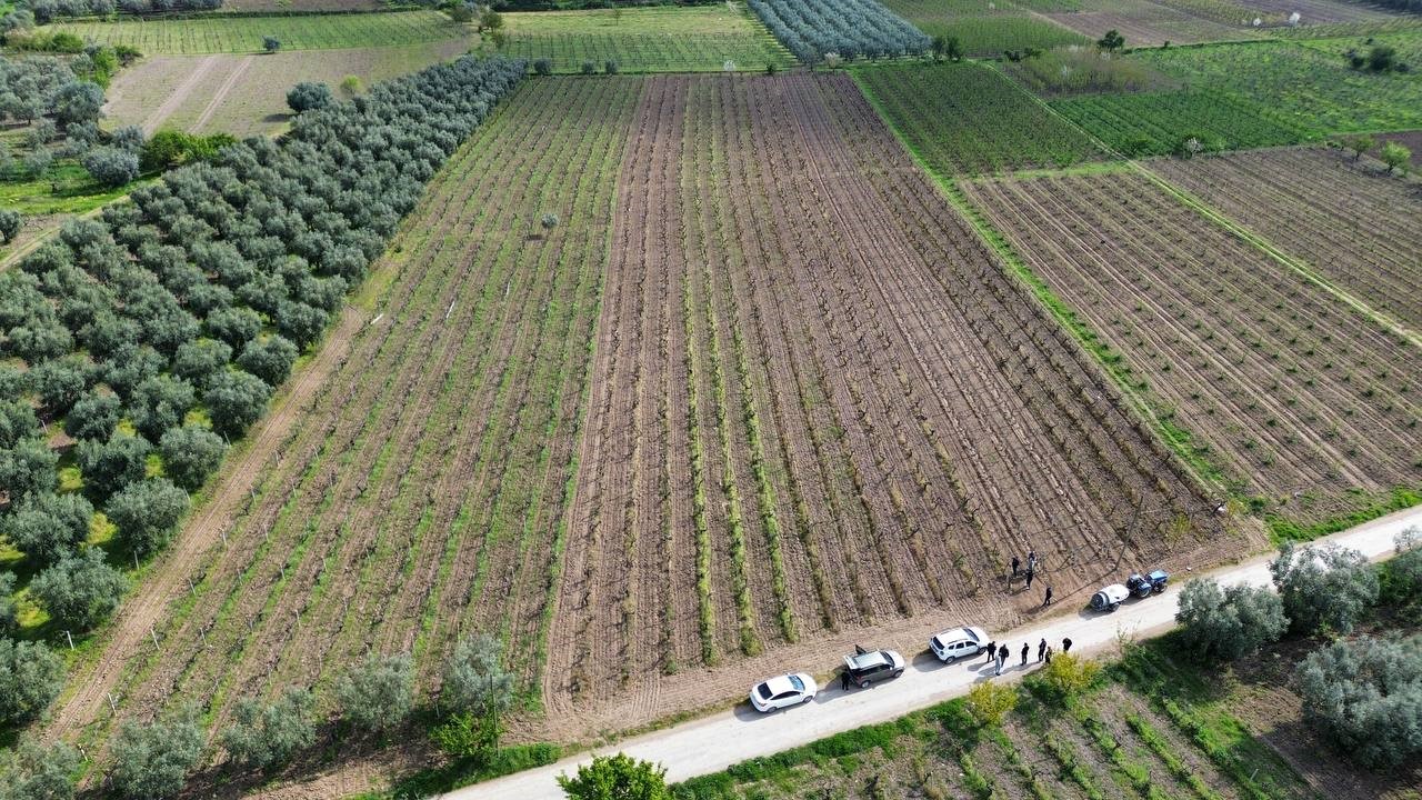 Marmara’nın tarım ambarı İznik ovasında, termometre eksi 6 dereceyi gösterdiğinde,