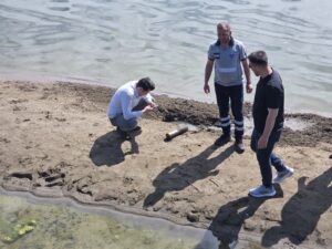İskele bölgesinde suyun içinde bir vatandaş tarafından fark edilen top