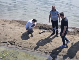 İznik Gölü’nde ikinci tehlike! Etkisiz hale getirildi