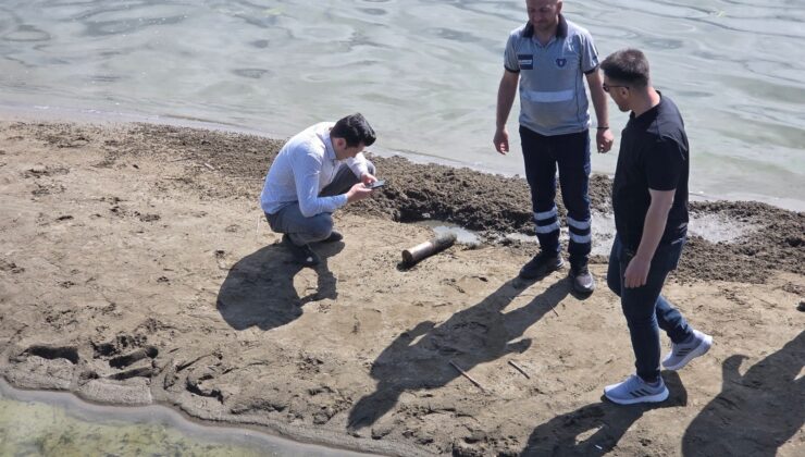 İznik Gölü’nde ikinci tehlike! Etkisiz hale getirildi