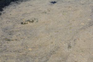 Bursam Medya -