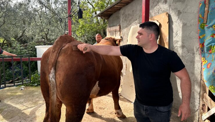 Bursa’da araba fiyatına alıcısını bekliyor!