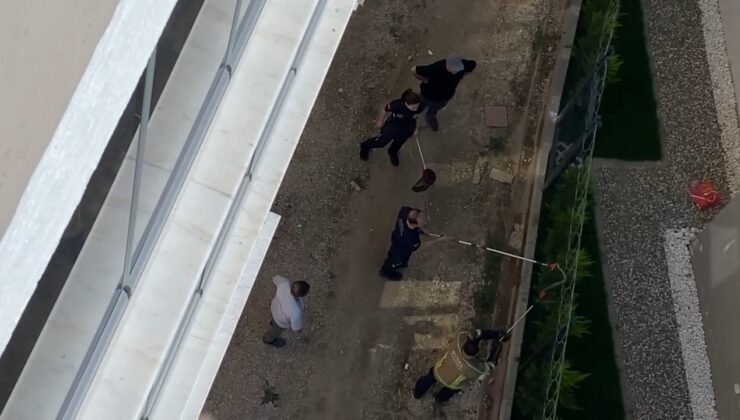 Bursa’da korku dolu anlar! Kimse yaklaşamadı