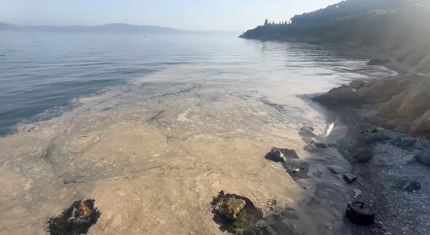 Deniz salyası olarak bilenen müsilaj, yine körfezi esir aldı. Bursa’nın